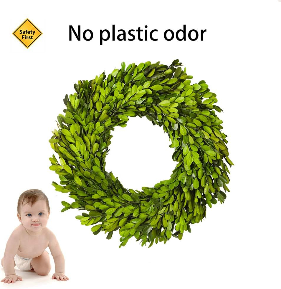 Boxwood Wreath 10 inch Preserved Nature Boxwood Wreath Home Decor Stay Fresh for Years Thanksgiving, Christmas Rustic Farmhouse Holiday Home Decor, Green