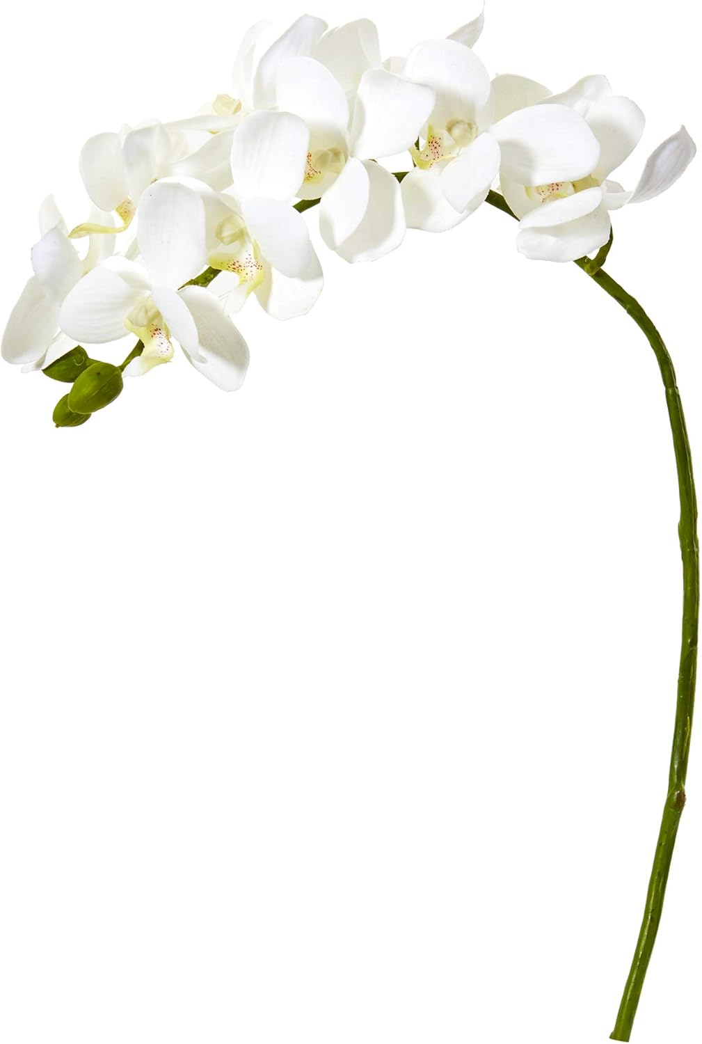 Nearly Natural 21in. Phalaenopsis Orchid Artificial Flower (Set of 6)
