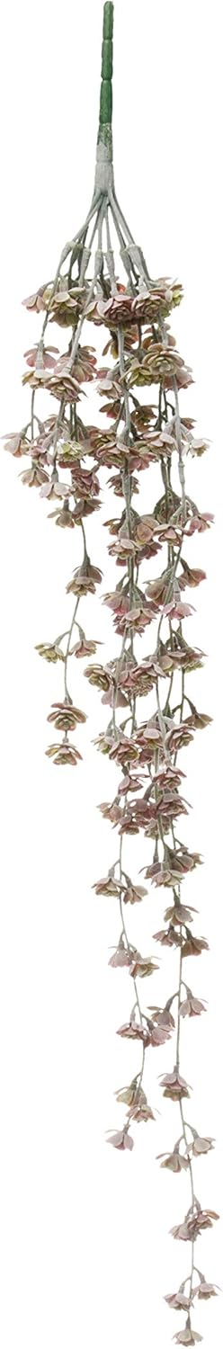Creative Co-Op 31"H Faux Trailing Succulent