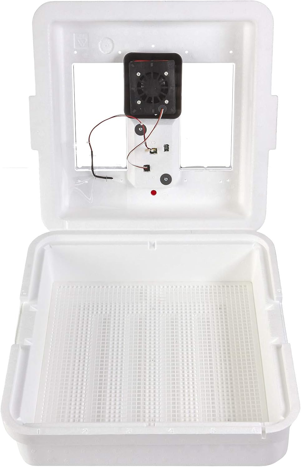Little Giant White Digital Still Air Incubator