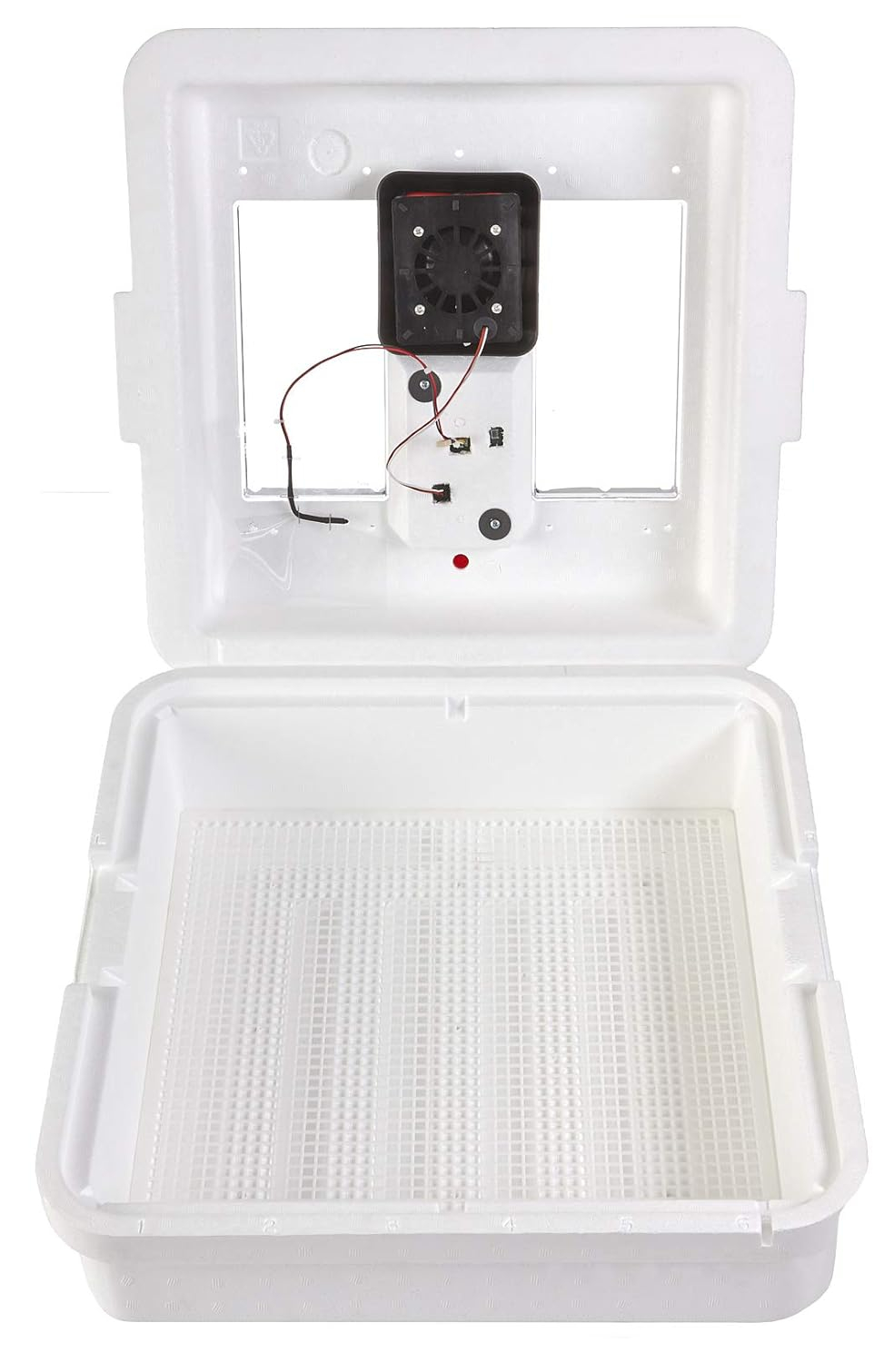 Little Giant White Digital Still Air Incubator