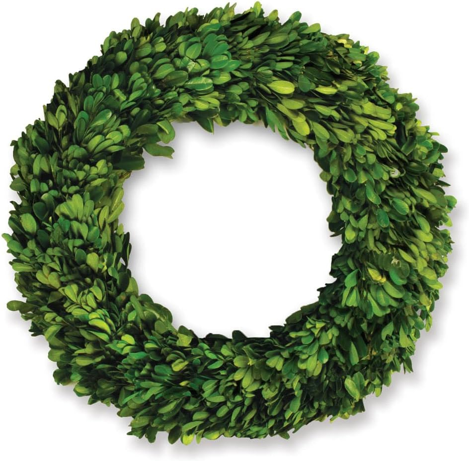 Plum & Post Boxwood Wreath 12"