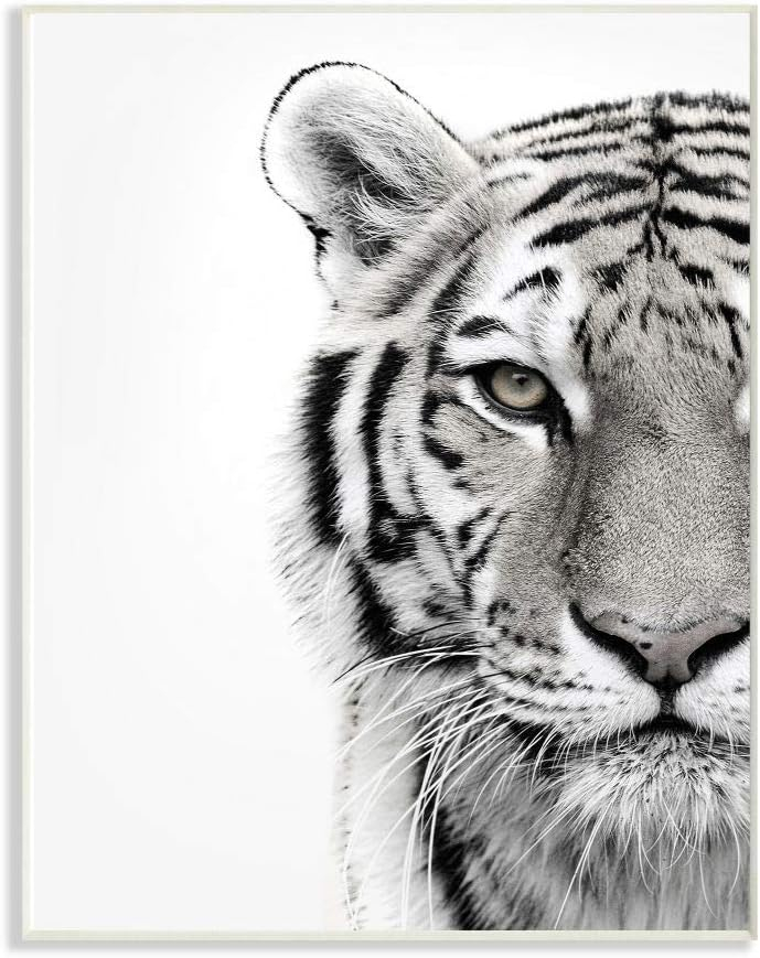 The Stupell Home Decor Collection White Tiger Close Up Black and White Photography Wood Wall Art
