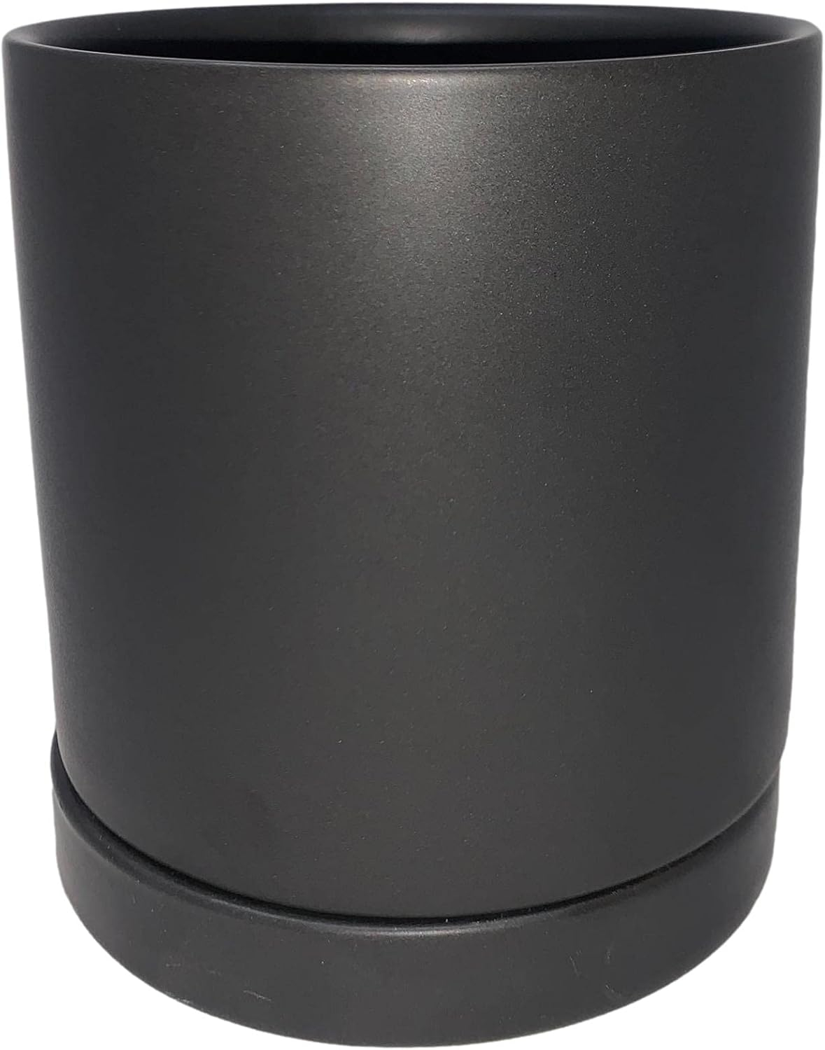 Easy to Grow Spider Plant Variegated - 1 Potted Houseplant Placed in a Black Ceramic Pot with Water Saucer, Low-Maintenance Indoor Outdoor