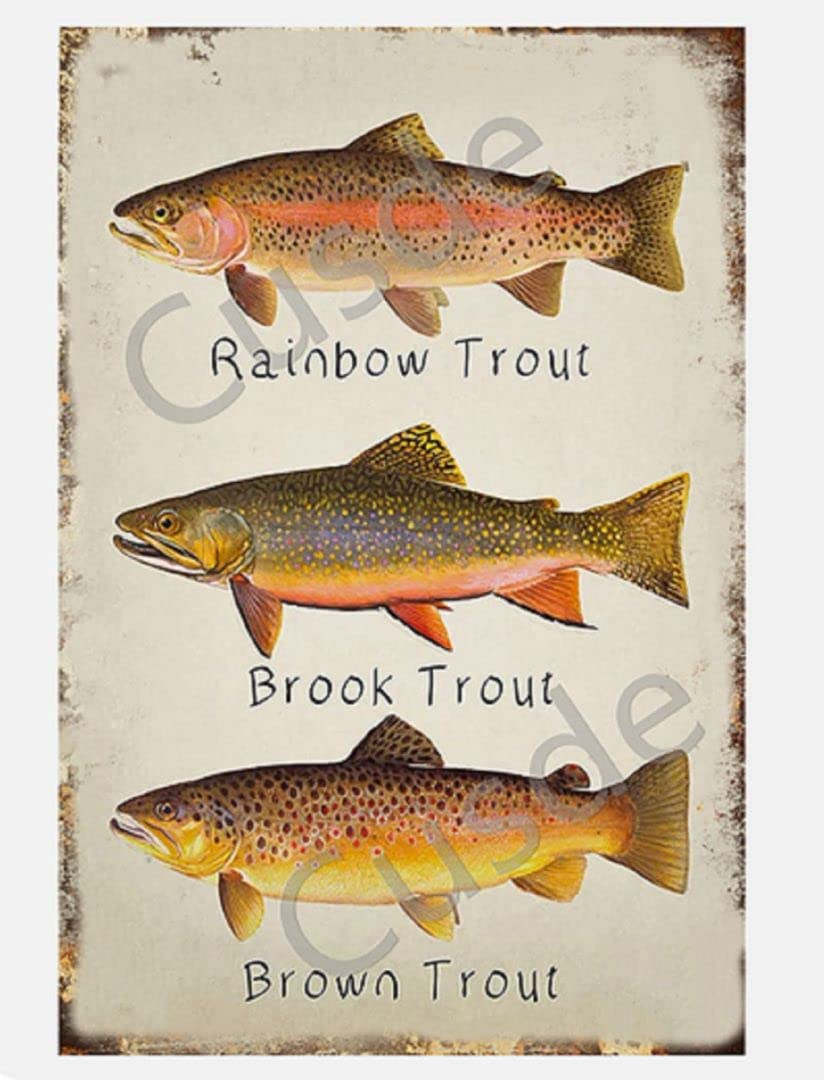 GCOCL Rainbow Trout Brook Trout Brown Trout Retro Metal Decor Wall Plaque Vintage Tin Sign for House Cafe Club Home Or Bar