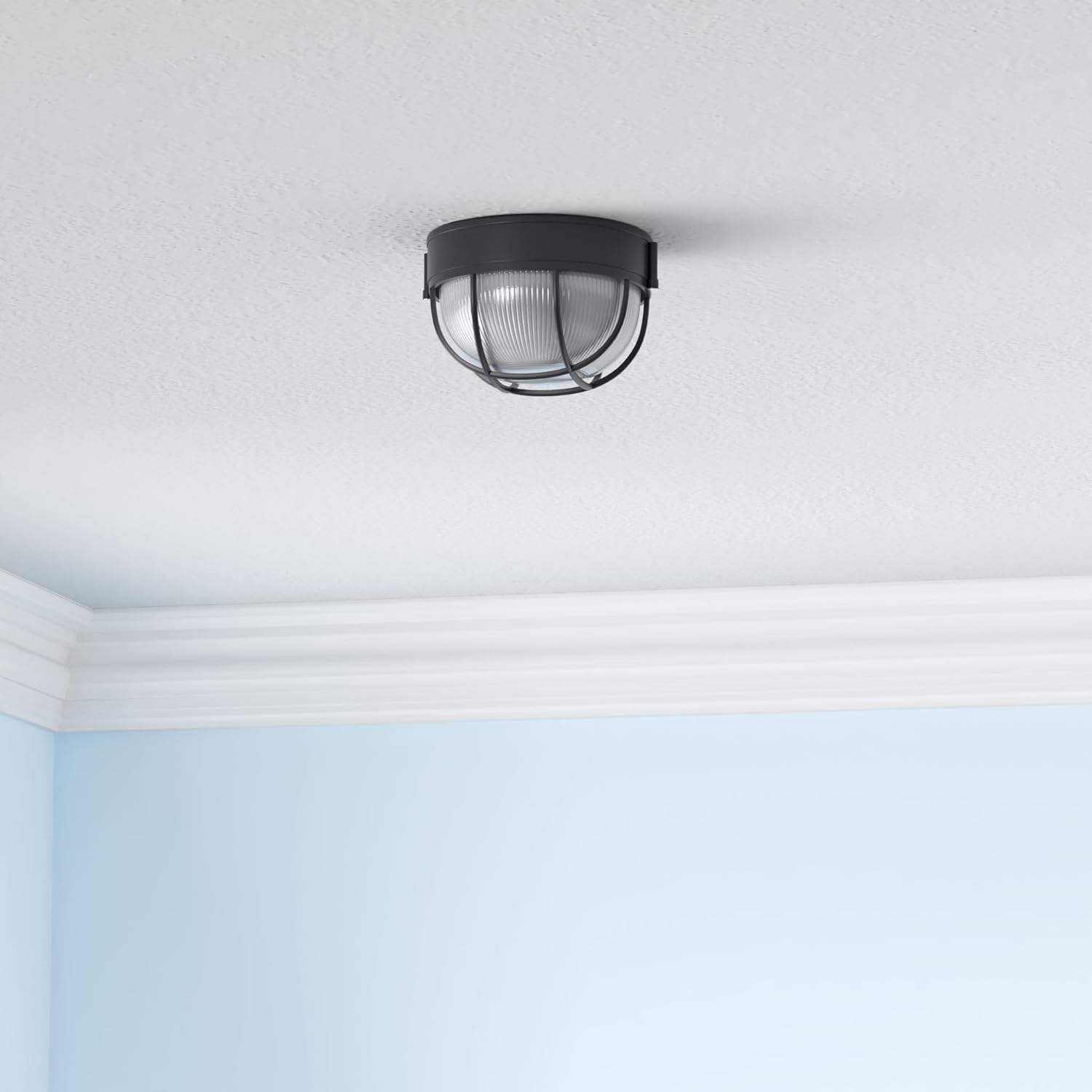 Canarm IOL17BK The Outdoor 1-Bulb Flush Mount Exterior Light with Frosted Glass Globe, Black