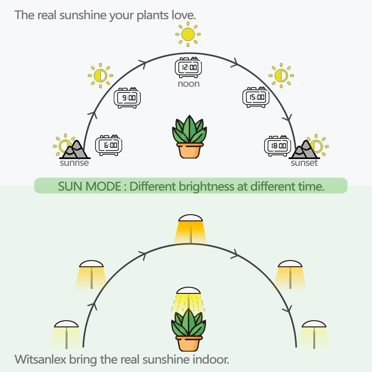 LED Grow Lights for Indoor Plants 2 Pack, Smart Full Spectrum USB Small Plant Lights with Remote, Height Adjustable, Auto On/Off Timer, Ideal for Home Decoration