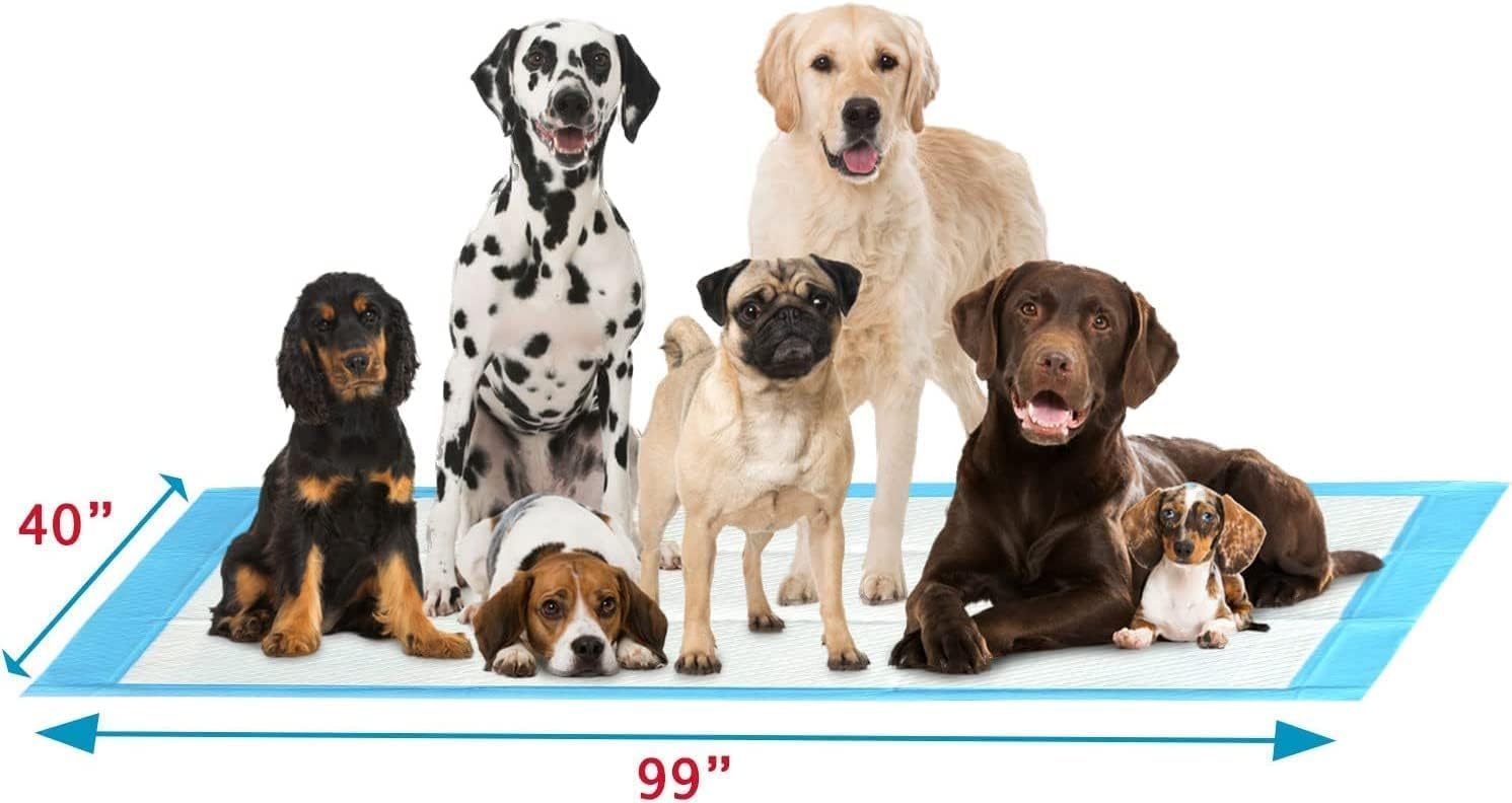 Gigantic Blue Dog Pee Pads with Adhesive Backing