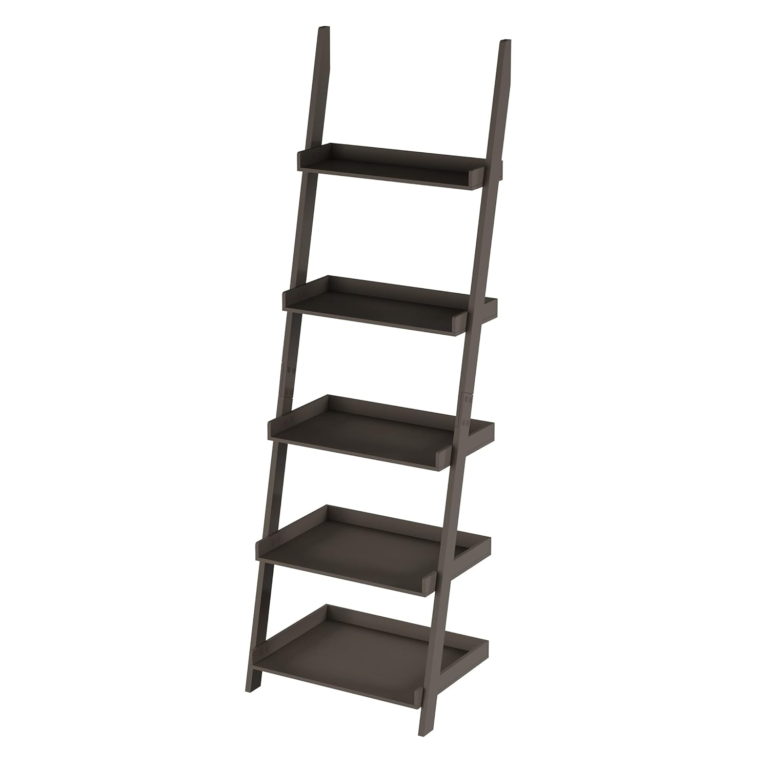 Bookshelf - 5-Tier Ladder Shelf with Leaning Look - Bookcase for Home Decor and Office Storage - Freestanding Book Shelves by Lavish Home (Gray)