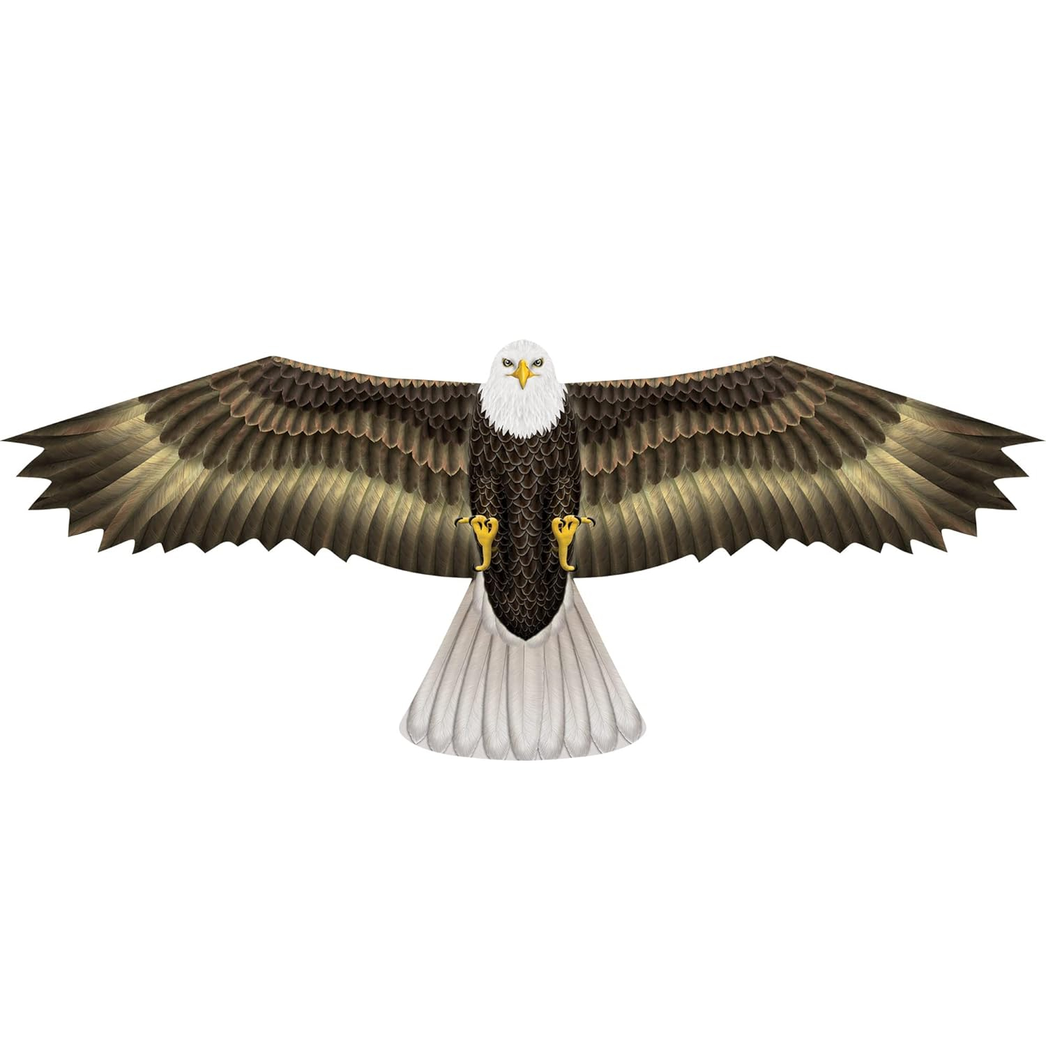 Brain Storm X Kites Birds of Prey Kite 48 Falcon
