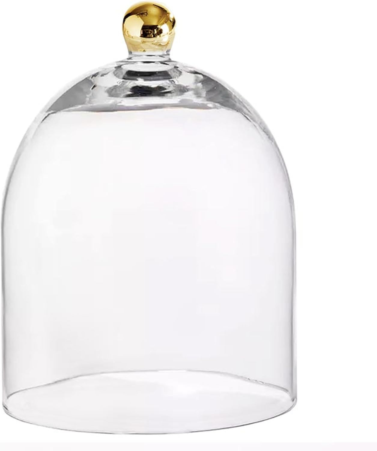 Santa Barbara Design Studio Glass Dome Food Cover Gold Knob Cloche, Small, Clear