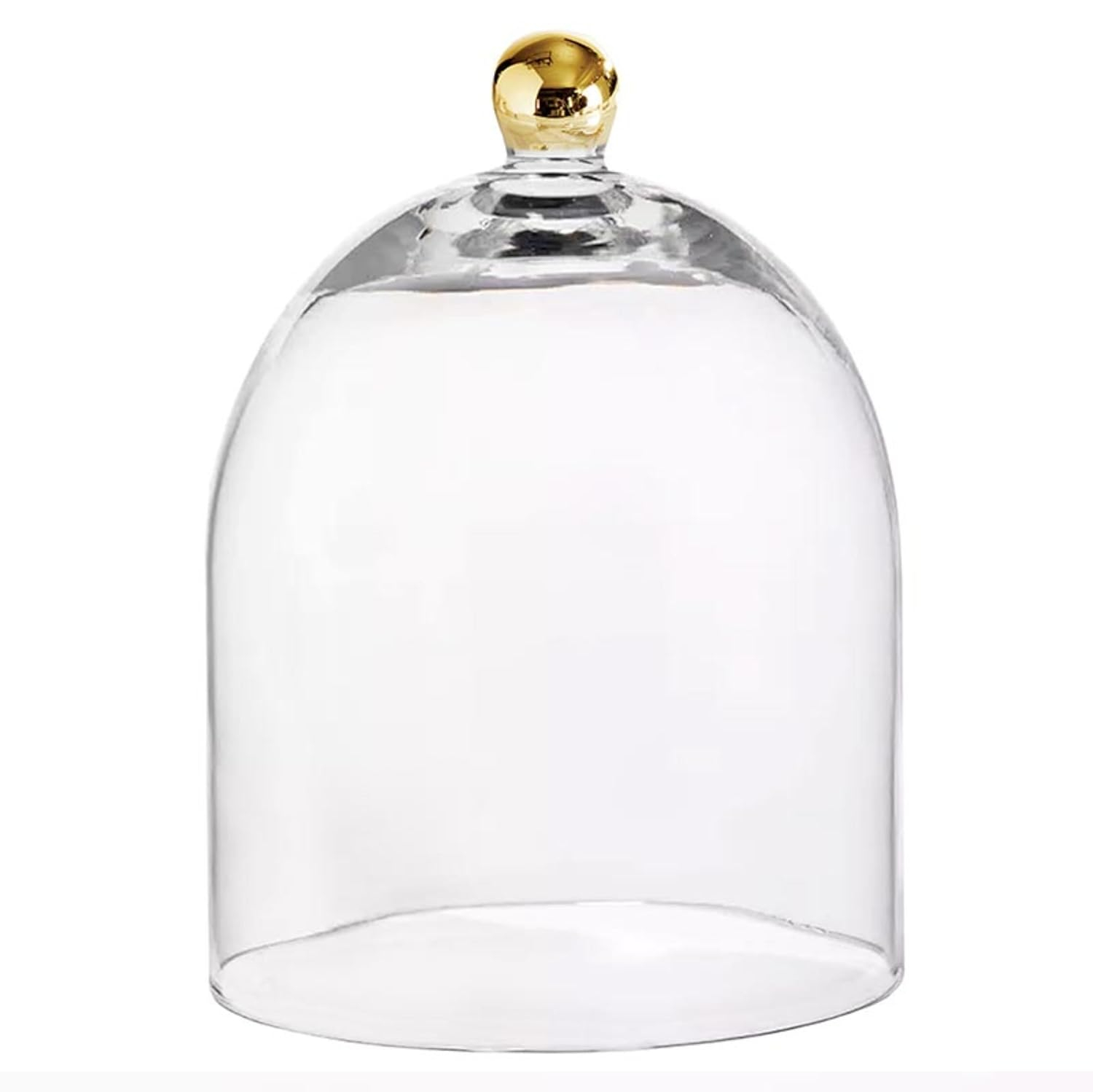 Santa Barbara Design Studio Glass Dome Food Cover Gold Knob Cloche, Small, Clear