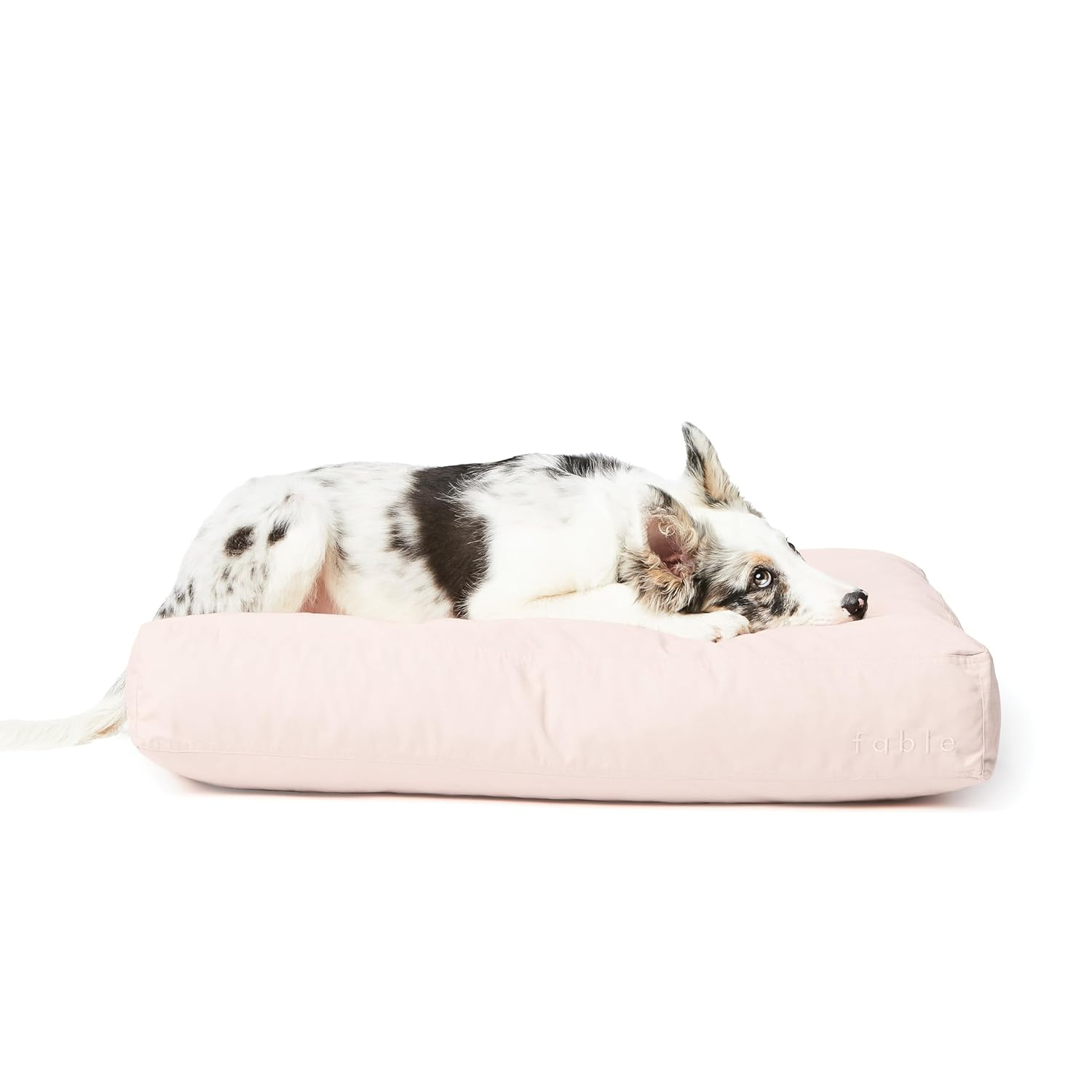 Orthopedic Pet Bed