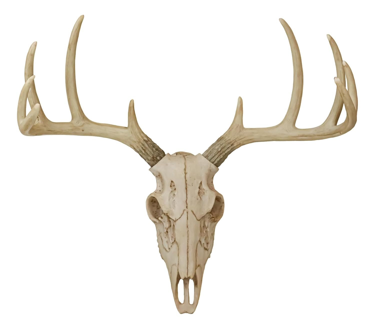 Ebros Gift Rustic Hunter Deer 10 Point Buck Skull Trophy Antlers Wall Mounted Plaque Decor Figurine 14.25" Long Hunter's Antler Rack Theme Deer Buck Hunting Skulls Trophies Hanging Sculpture