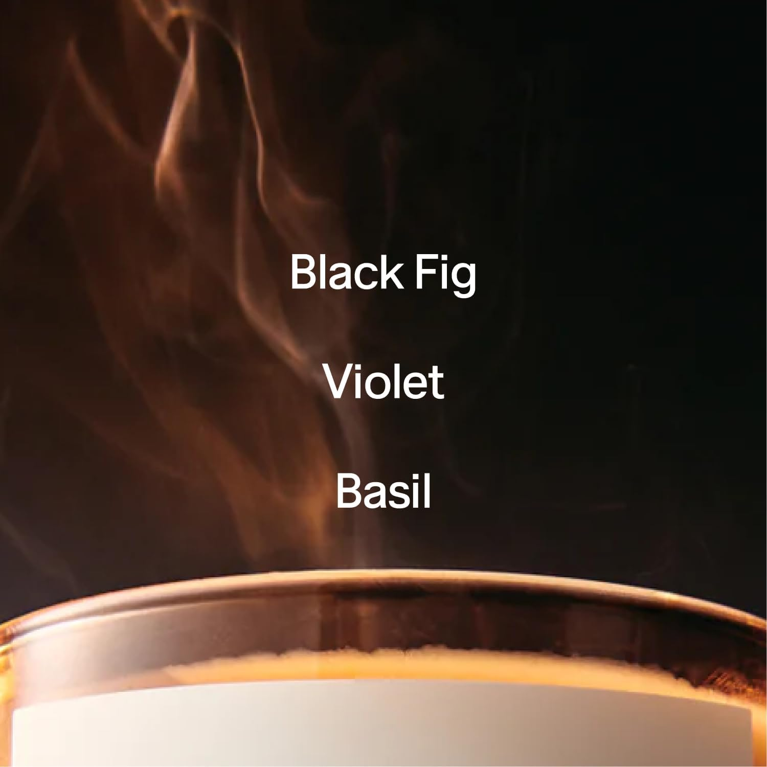 SALT & STONE Scented Candle for Women & Men | Hand-Poured, Aromatic & Fragrant | Natural Coconut & Soy Blend Wax | 100% Cotton Wick | Long-Lasting 50 Hour Burn Time (8.5 oz) (Fig & Violet)