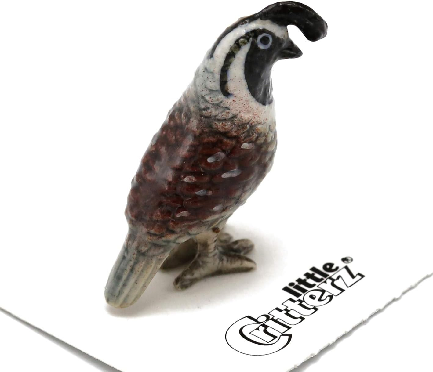 Little Critterz California Quail Valley "Chi-ca-go" Bird - Hand-painted Home Decor Bird Decorative Figurine - Miniature Porcelain Figurine