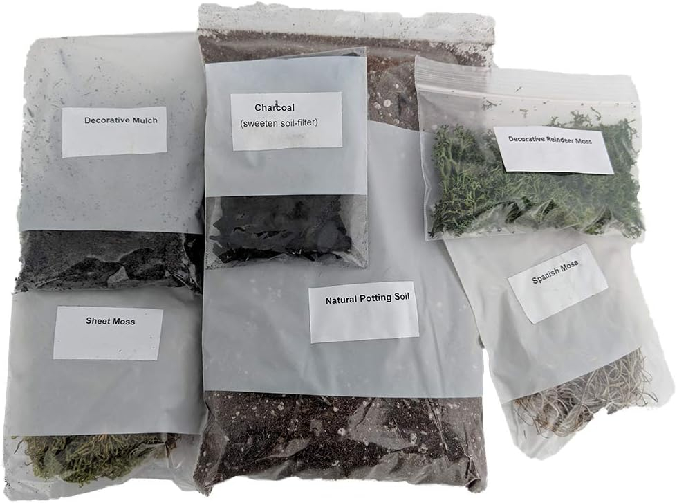 Terrarium/Fairy Garden Kit - Create Your Own Living Terrarium