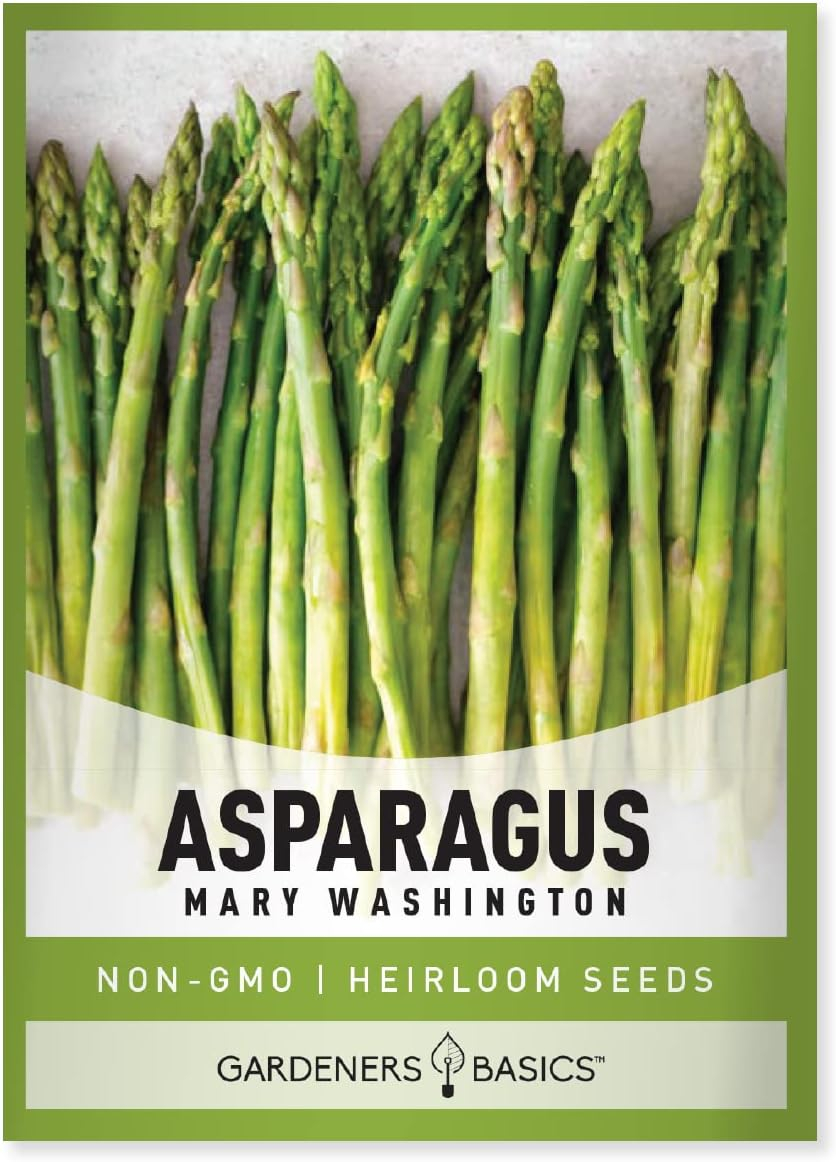 Mary Washington Non-GMO Heirloom Asparagus Seeds for Spring Planting