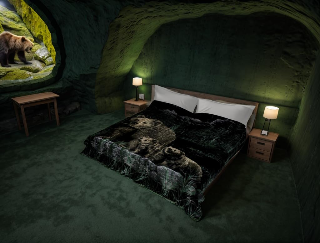 Korean Solaron Super Thick Heavy Weight Ultra Silky Soft Mink Heavy Duty Reversible Blanket bed comforters bedspreads bedding comforter King or Queen or Twin (Queen, Bear & Cups Green)