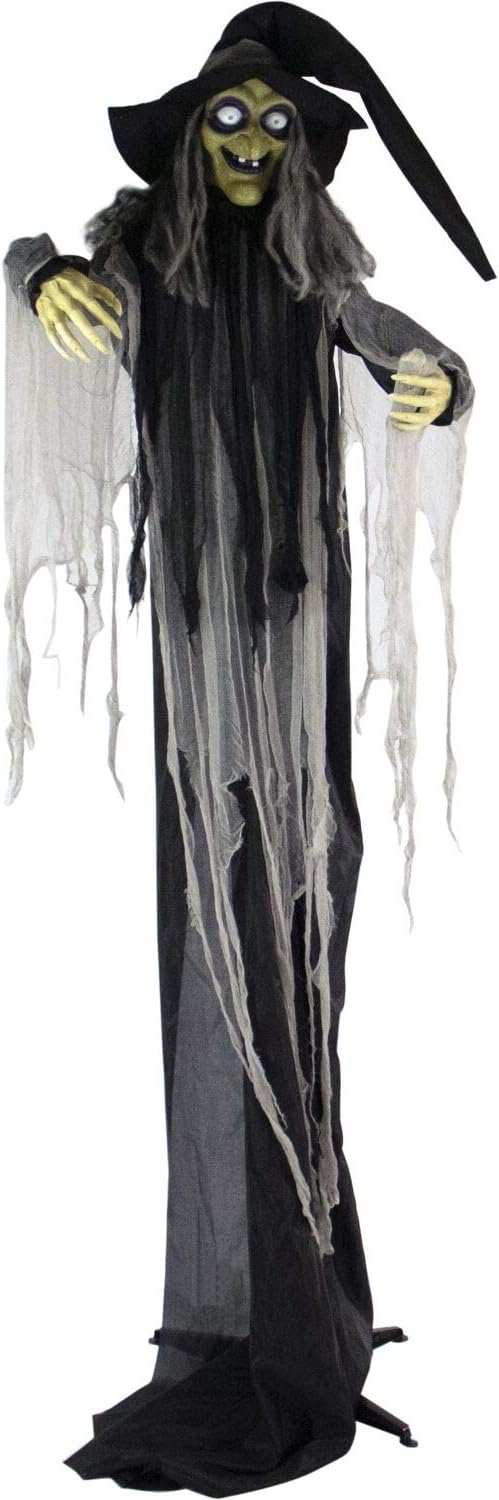 Haunted Hill Farm 9.5-Ft. Animatronic Witch, Indoor or Covered Outdoor Halloween Decoration, Light-up White Eyes, HHWITCH-16FLSA