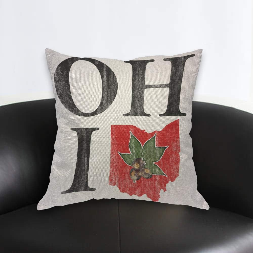 AOYEGO Oh I Love Ohio States Throw Pillow Cover Vintage Red Buckeye Nut Pillow Case 18x18 Inch Decorative Men Women Room Cushion Cover for Home Couch Bed