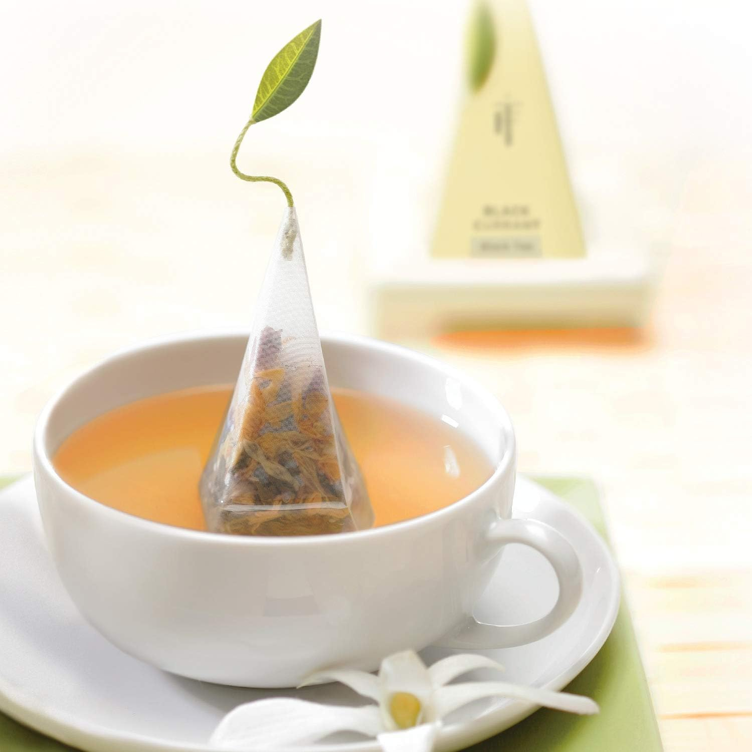 Tea Forte Lotus 10 Handcrafted Pyramid Tea Infusers Box Presentation