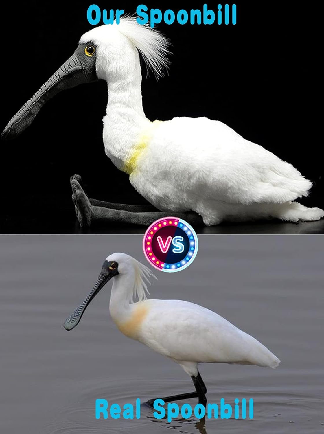 ZHONGXIN MADE Simulation Spoonbill Plush Toy - White Real Life Ibis Bird Simulation Plush Toys, Lifelike Crested Ibis Animals Spoonbill Stuffed Toys Birthday Gifts for Kids, 10.6 Inches