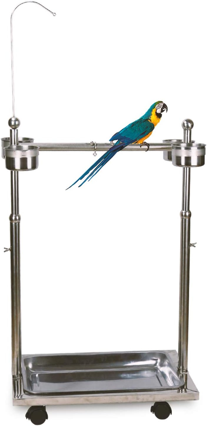 Adjustable Stainless Steel Bird Perch Stand with Wheels