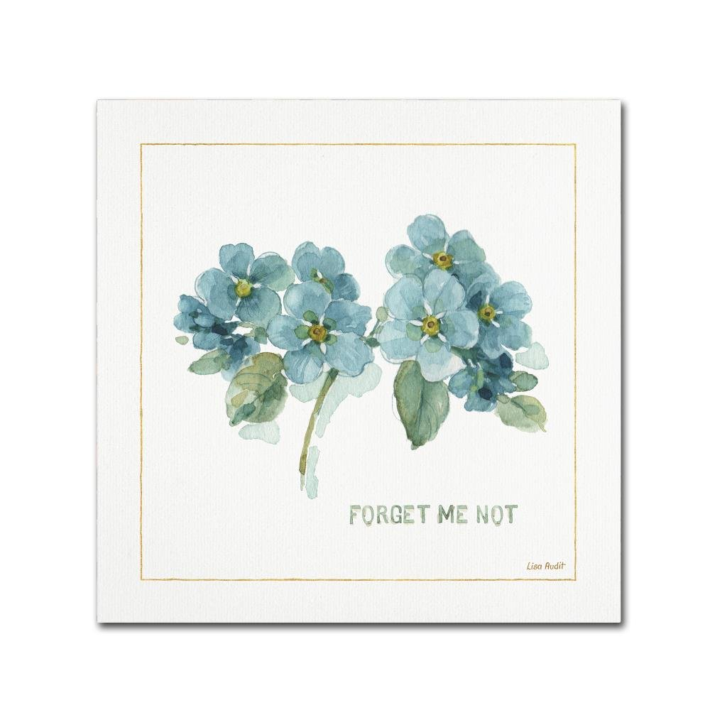 Trademark Fine Art "My Greenhouse Forget Me Not" Canvas Art by Lisa Audit