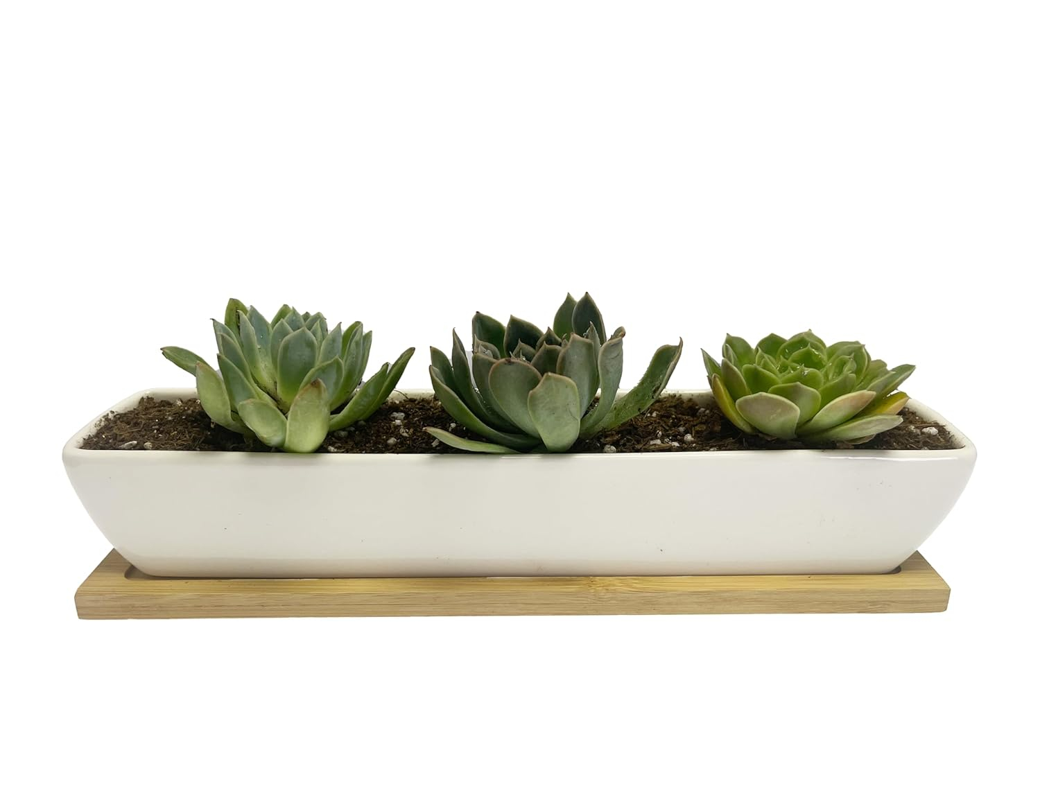 Kipokalor Rectangular Long Succulent Planter Pot,1 Set 11.1x2.36x1.77inch Long Modern Minimalist White Ceramic with Saucer for Office,Desk,Window.