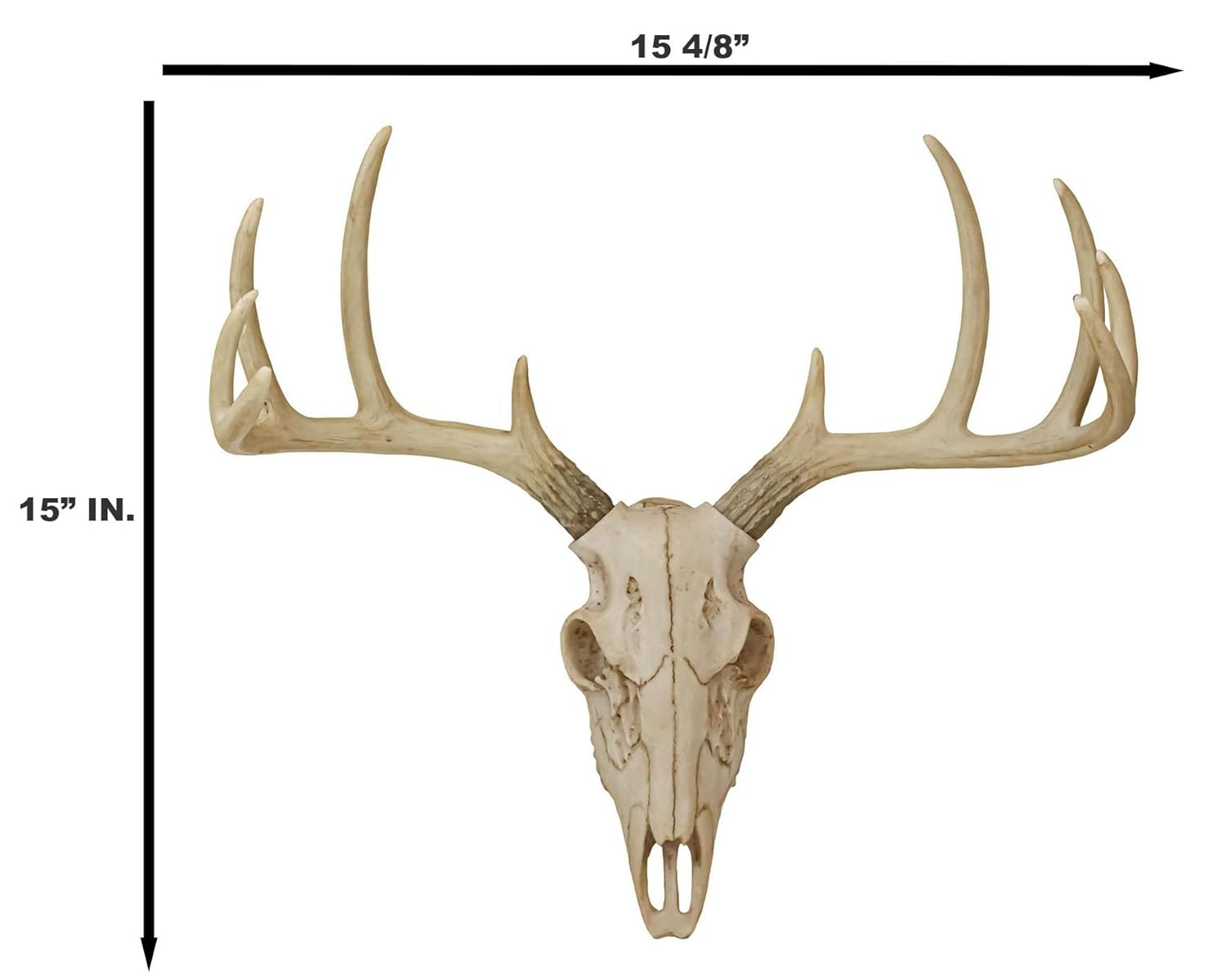 Ebros Gift Rustic Hunter Deer 10 Point Buck Skull Trophy Antlers Wall Mounted Plaque Decor Figurine 14.25" Long Hunter's Antler Rack Theme Deer Buck Hunting Skulls Trophies Hanging Sculpture