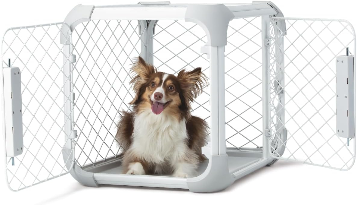 DIGGS 24" Evolv Dog Crate - Safe, Durable Kennel with Removable Ceiling Panel and Modular - Ash