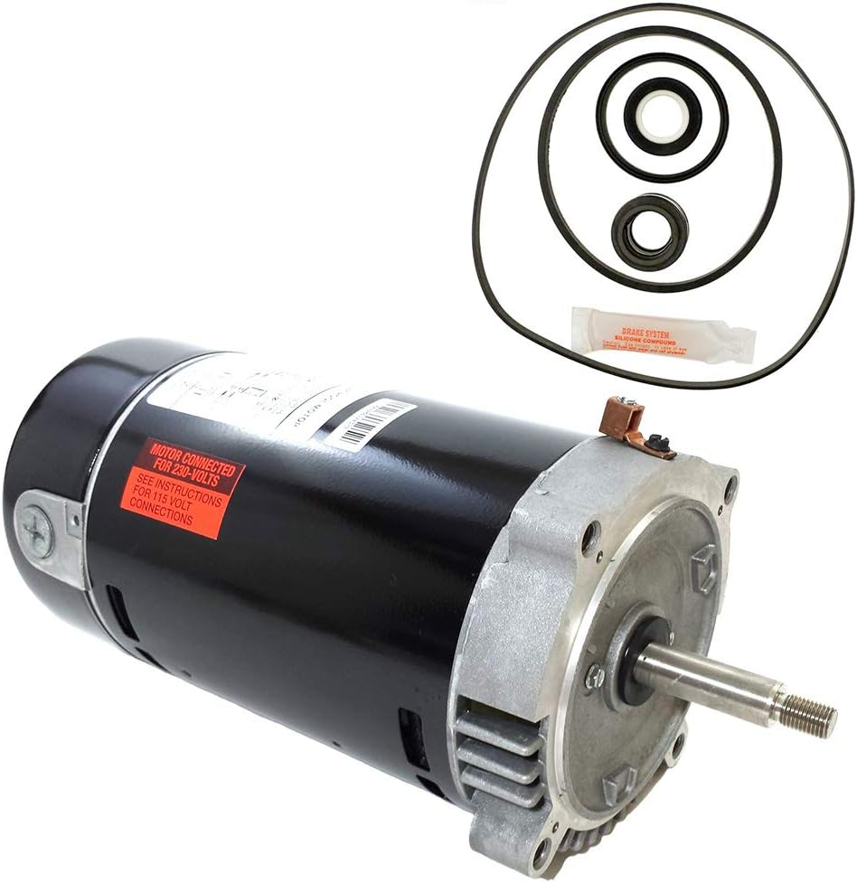 Puri Tech Replacement Motor Kit for Hayward Max-Flo 1HP SP2807X10 AO Smith UST1102 Motor w/ GO-KIT-1