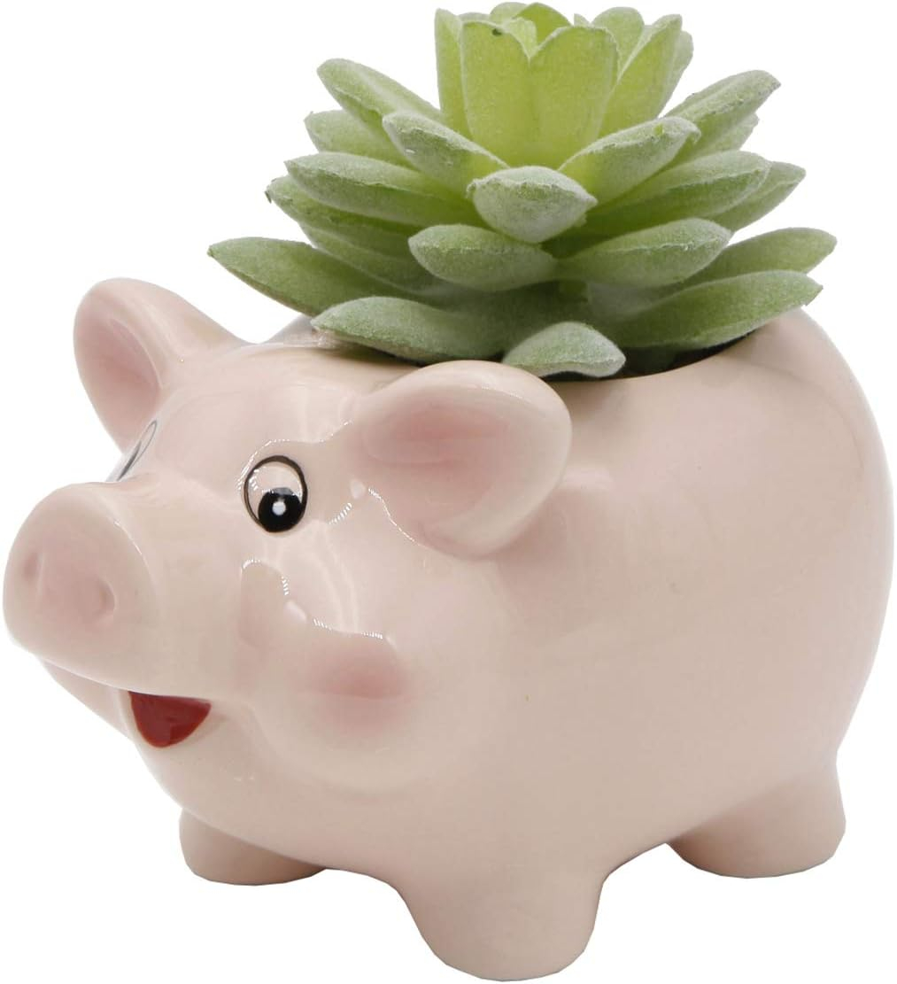 Flora Bunda Set of 2 Artificial Succulents in Pink Ceramic Pig Planters