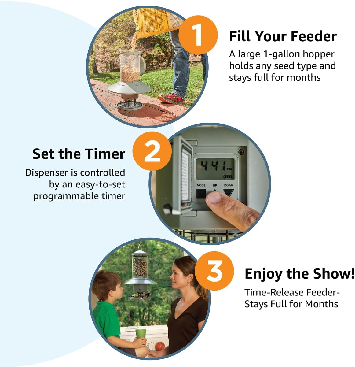 Wingscapes Autofeeder Squirrel-Resistant Bird Feeder with X-Large Capacity and Timer Control Settings, Wisteria Purple