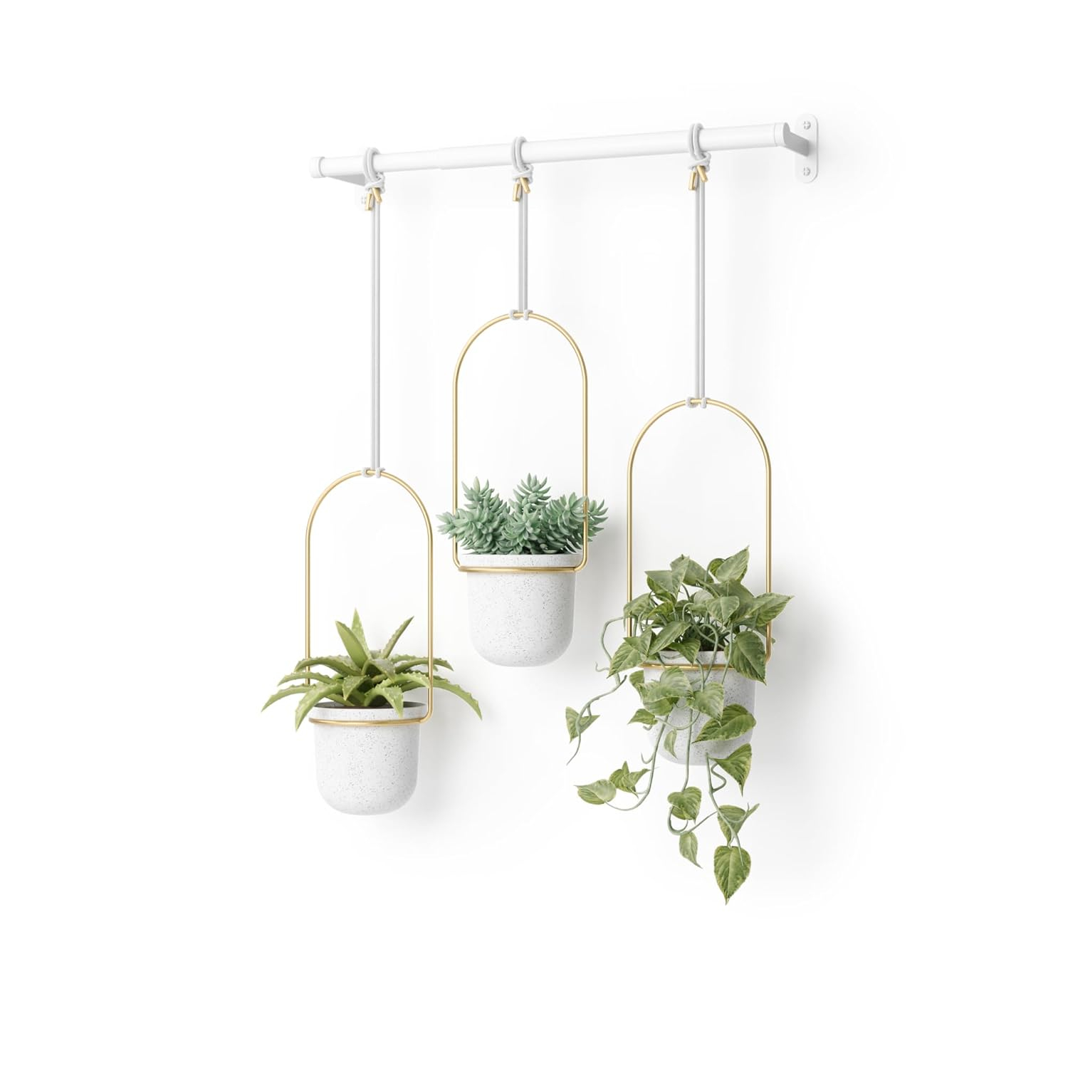 Umbra Triflora 3 Hanging Wall Planter
