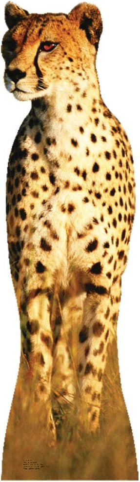 Cheetah Life-Size Cardboard Stand-Up