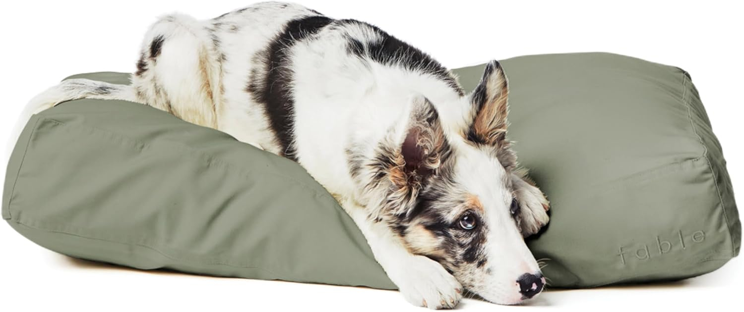 Orthopedic Pet Bed