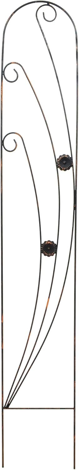TR08 Phoenix Trellis 5' x 10", Black