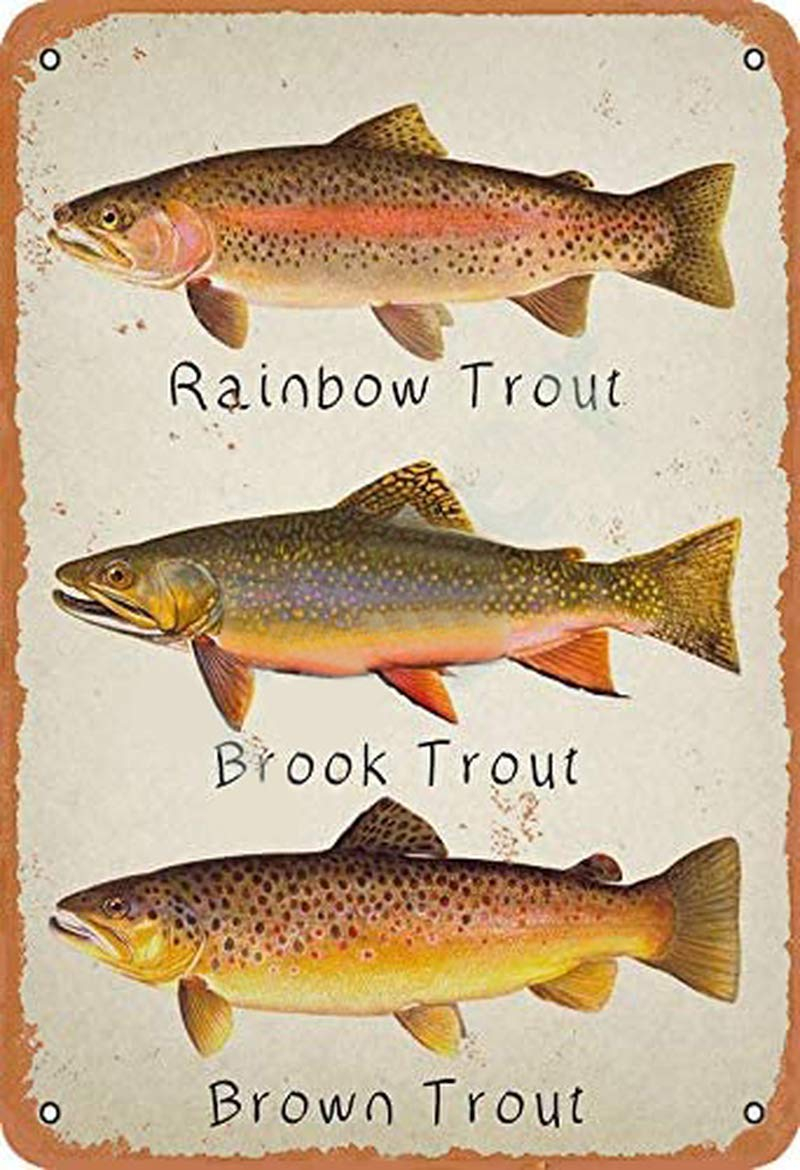 GCOCL Rainbow Trout Brook Trout Brown Trout Retro Metal Decor Wall Plaque Vintage Tin Sign for House Cafe Club Home Or Bar