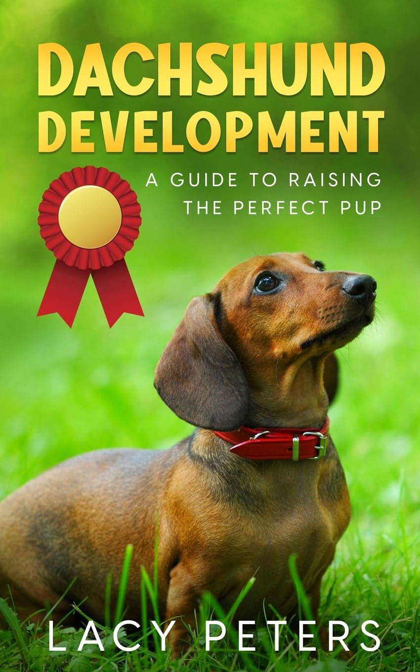 Dachshund Development - by  Lacy Peters (Paperback)