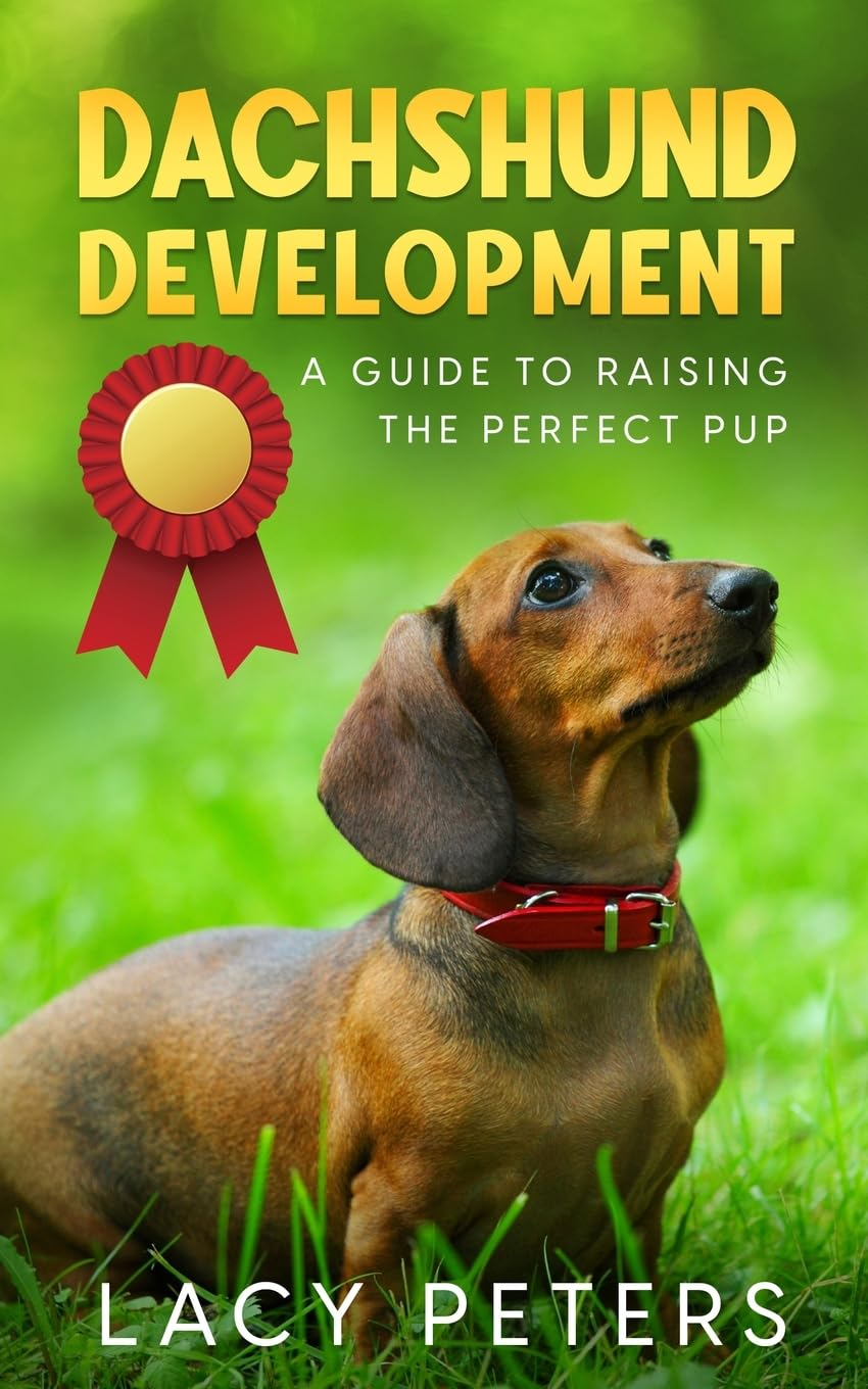 Dachshund Development - by  Lacy Peters (Paperback)