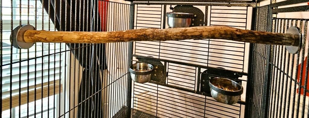 Polly's Full Length Hardwood Bird Perch, 28-Inch