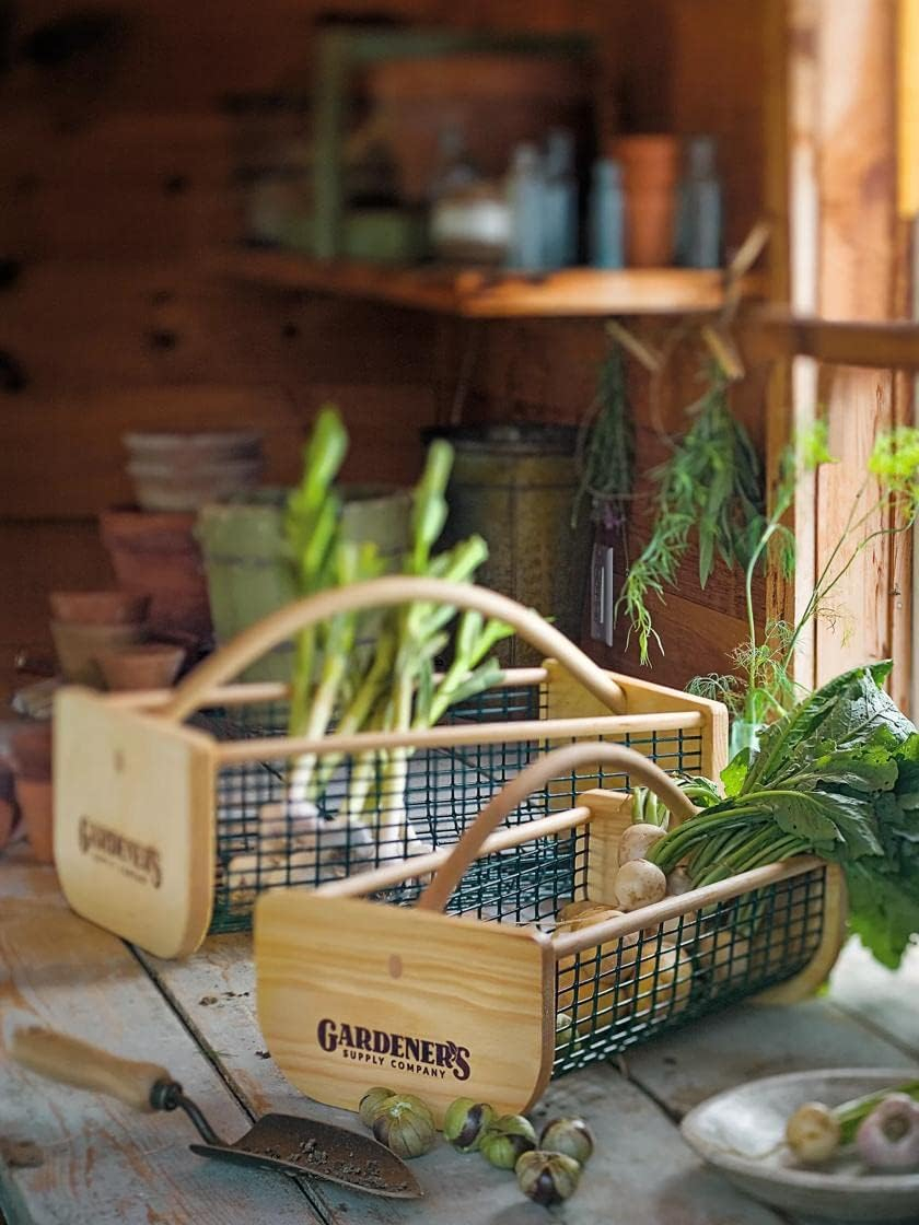 Gardeners Supply Company Garden Hod Harvest Basket | Versatile Gardening Fruits & Vegetables Gathering Basket | Natural Smooth Pine - Maple Frame &