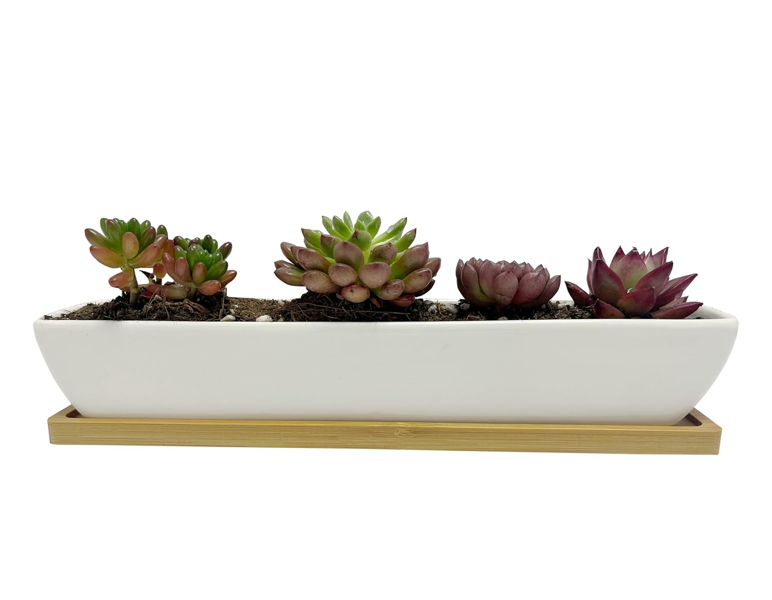 Kipokalor Rectangular Long Succulent Planter Pot,1 Set 11.1x2.36x1.77inch Long Modern Minimalist White Ceramic with Saucer for Office,Desk,Window.