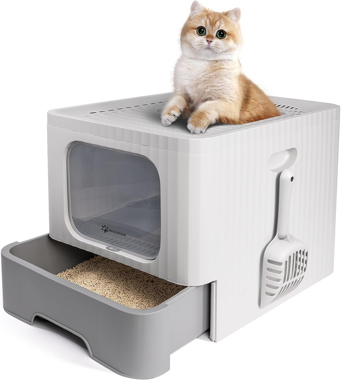 Dextrus Large Enclosed Cat Litter Box with Lid Drawer Type Easy to Clean,with Cushion&Litter Scoop,Gray