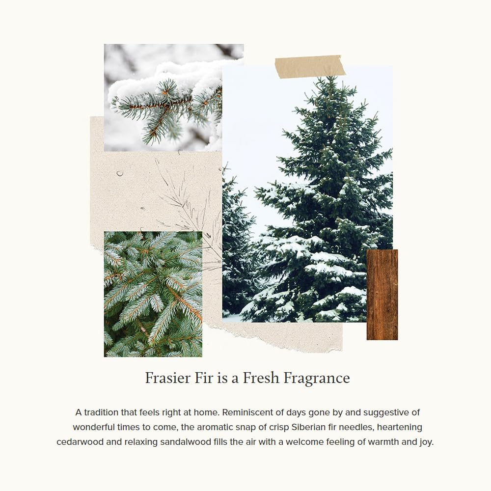 Thymes Frasier Fir Pine Needle Reed Diffuser 7.75 oz