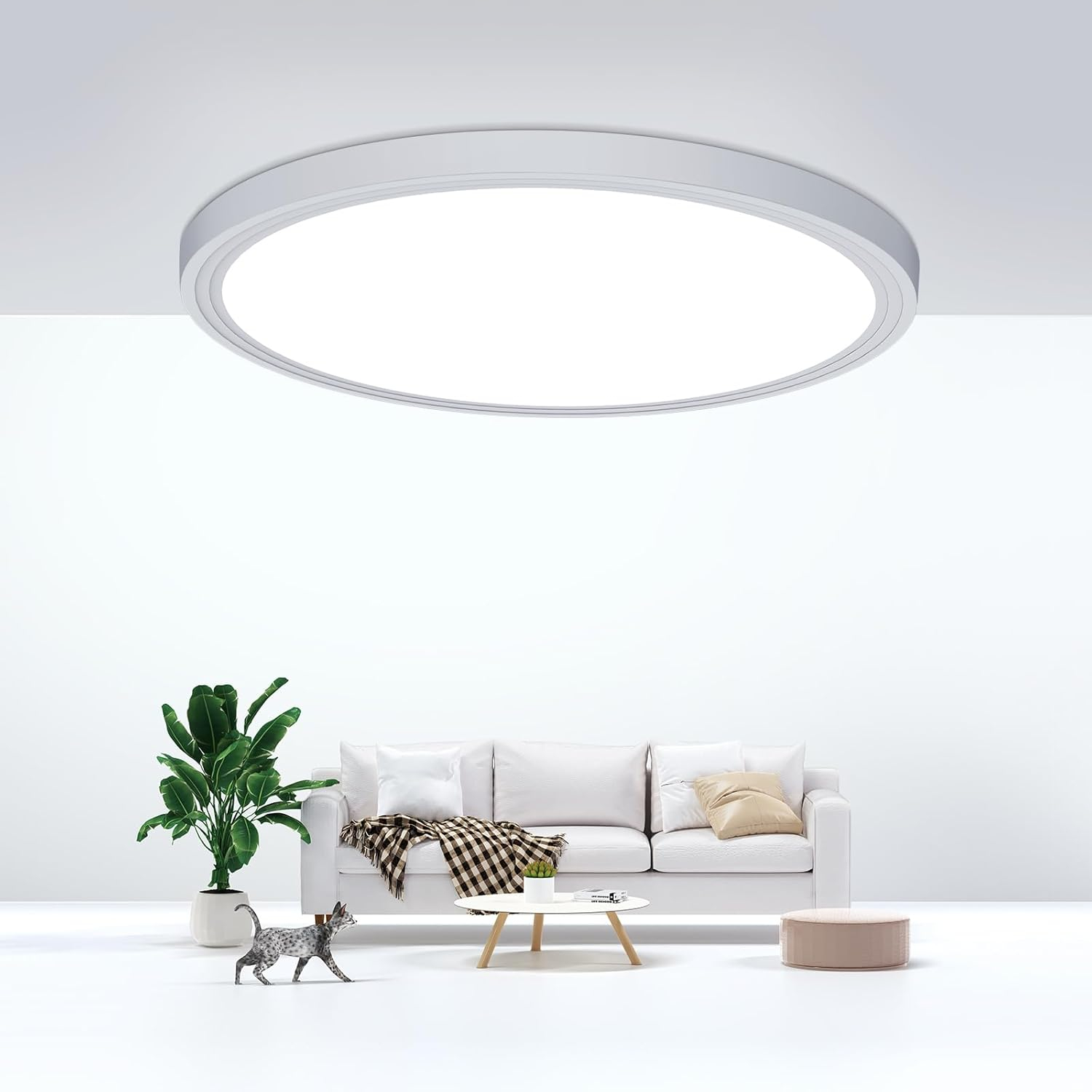 Flush Mount Ceiling Light Fixtures,24W Flat led Light for Ceiling,6000K 2200LM Ultra Thin Round White Lamp for Bedroom Kitchen,Bathroom,Garage,Living Room, Dining Room