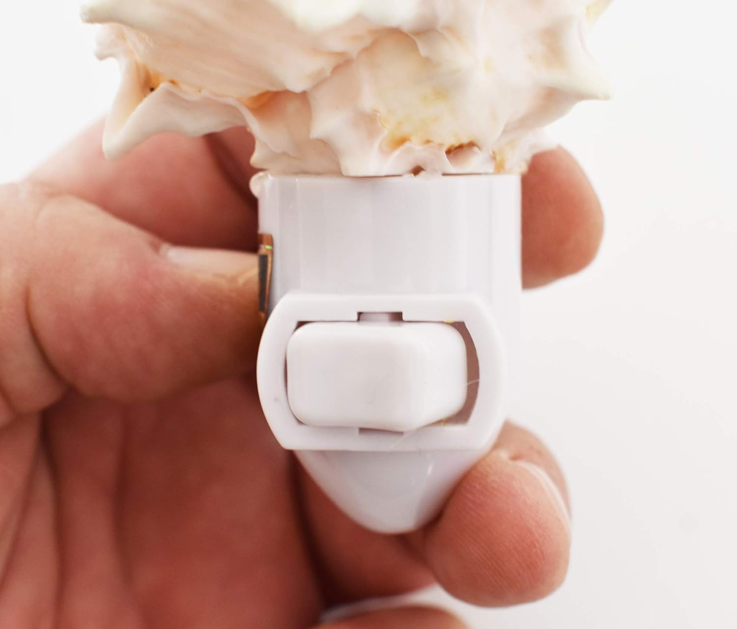 Pink Murex Seashell Coastal Night Light with Touch Switch