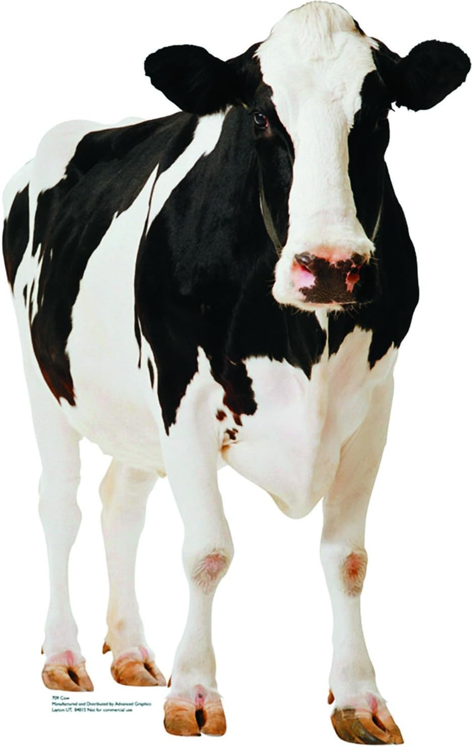 Fun Express Life-Size Cow Cardboard Stand-Up - Realistic Party Decor for Birthday Parties Events Themed Celebrations & - Perfect for Fun & Interactive Weddings Showers & Special Occasions - 1 Piece